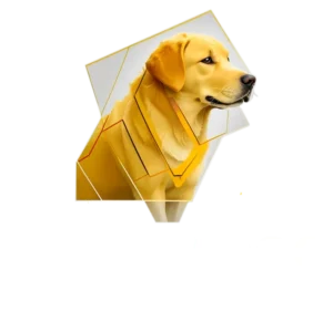 yellow dog line striping logo